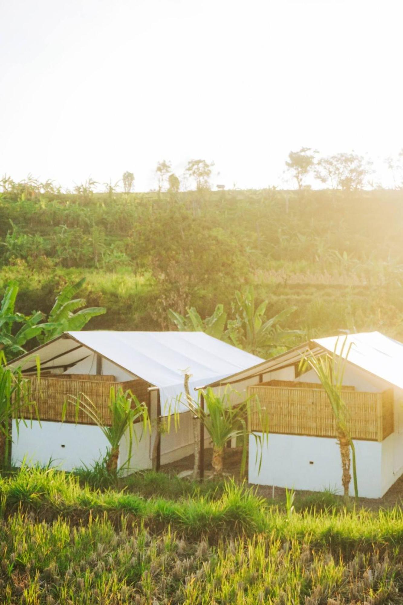 Luxuszelt Camani Glamping