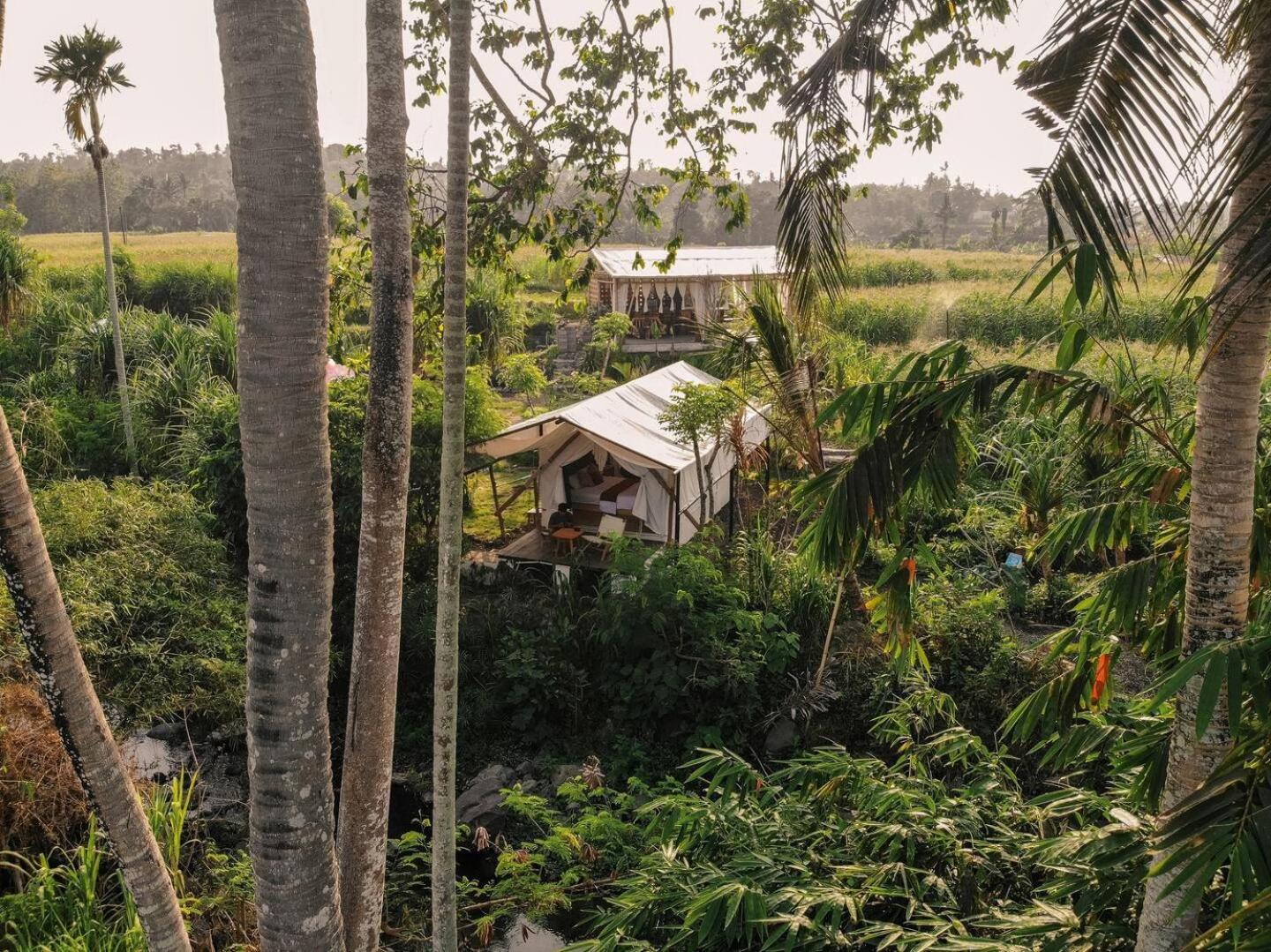 Camani Glamping Karangasem