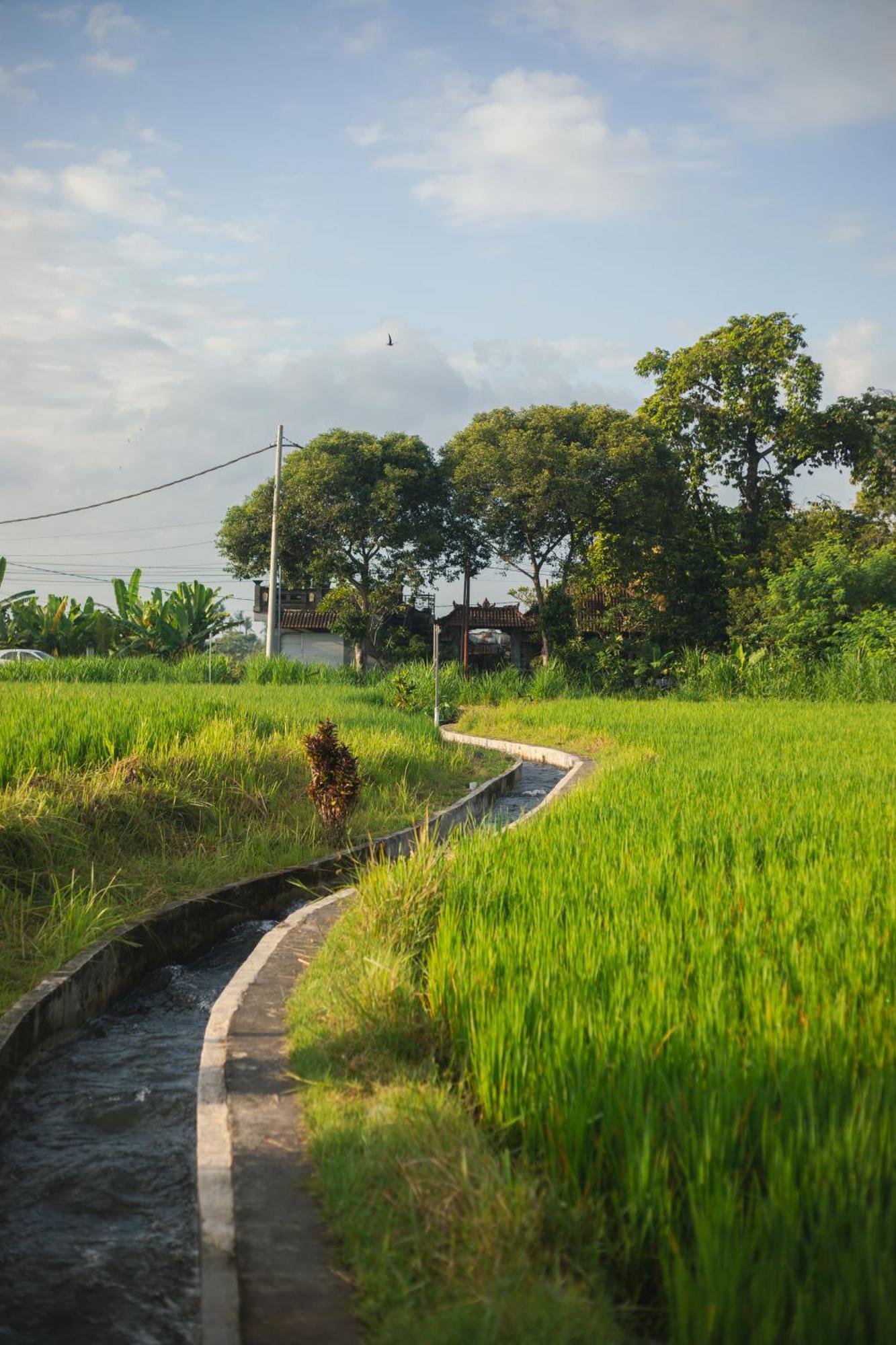 Camani Glamping Karangasem