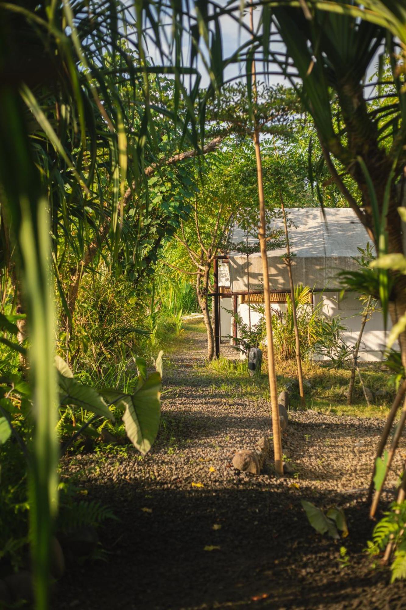 Camani Glamping Luxuszelt Karangasem
