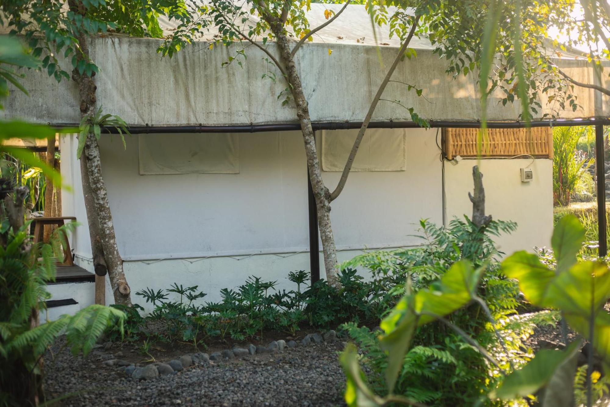 Camani Glamping