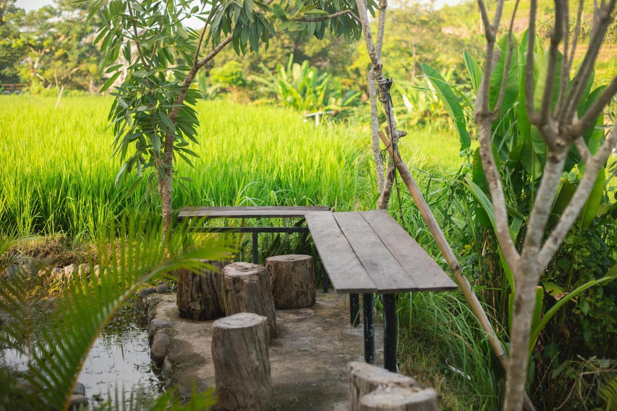 Camani Glamping *