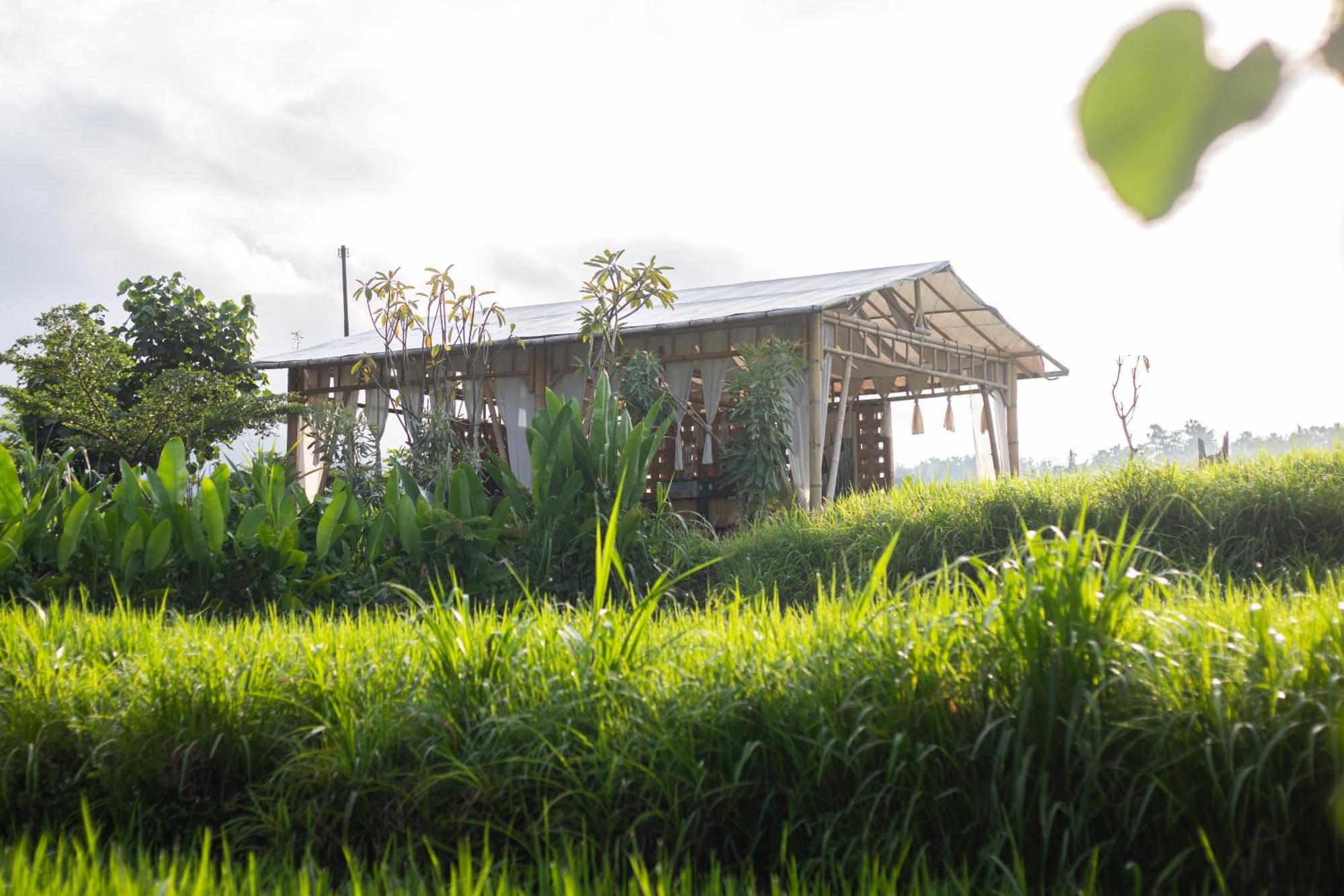 Camani Glamping * Karangasem