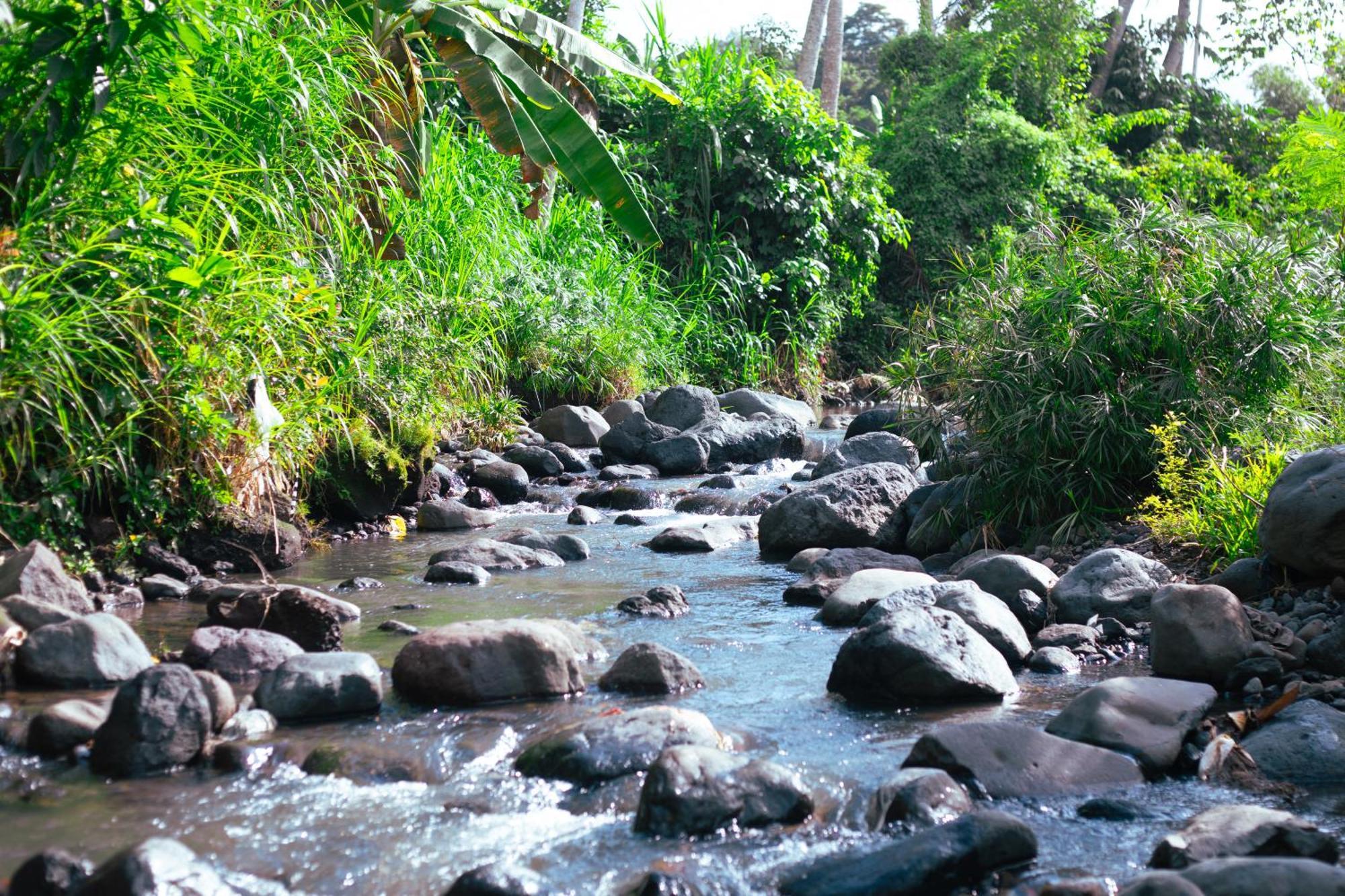 Camani Glamping Karangasem